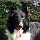 Cruize was adopted in November, 2005
